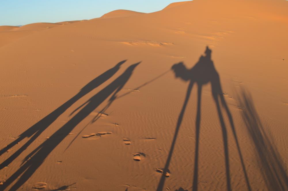メルズーガ砂漠【モロッコの旅】