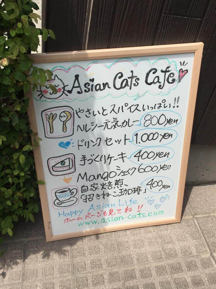 狛江、アジアンキャッツカフェ