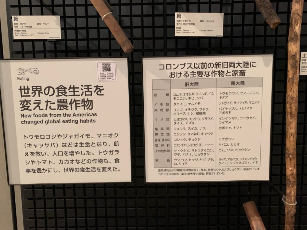 国立民族学博物館（みんぱく）