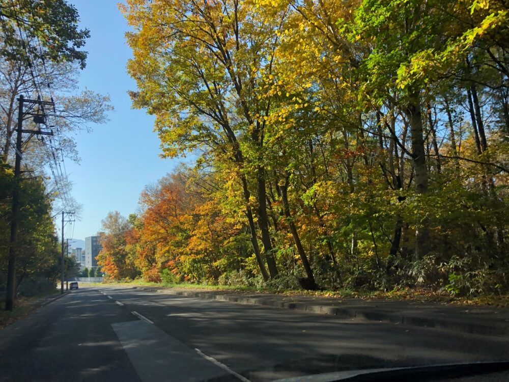 長沼〜豊平峡（北海道）