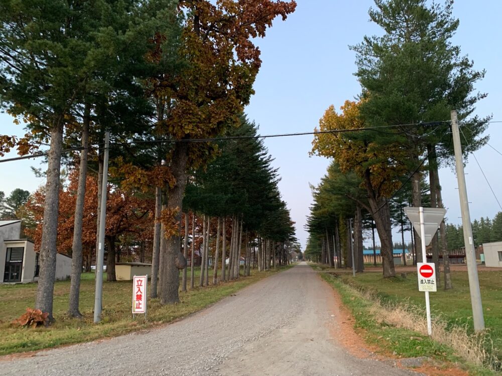 十勝牧場（北海道）