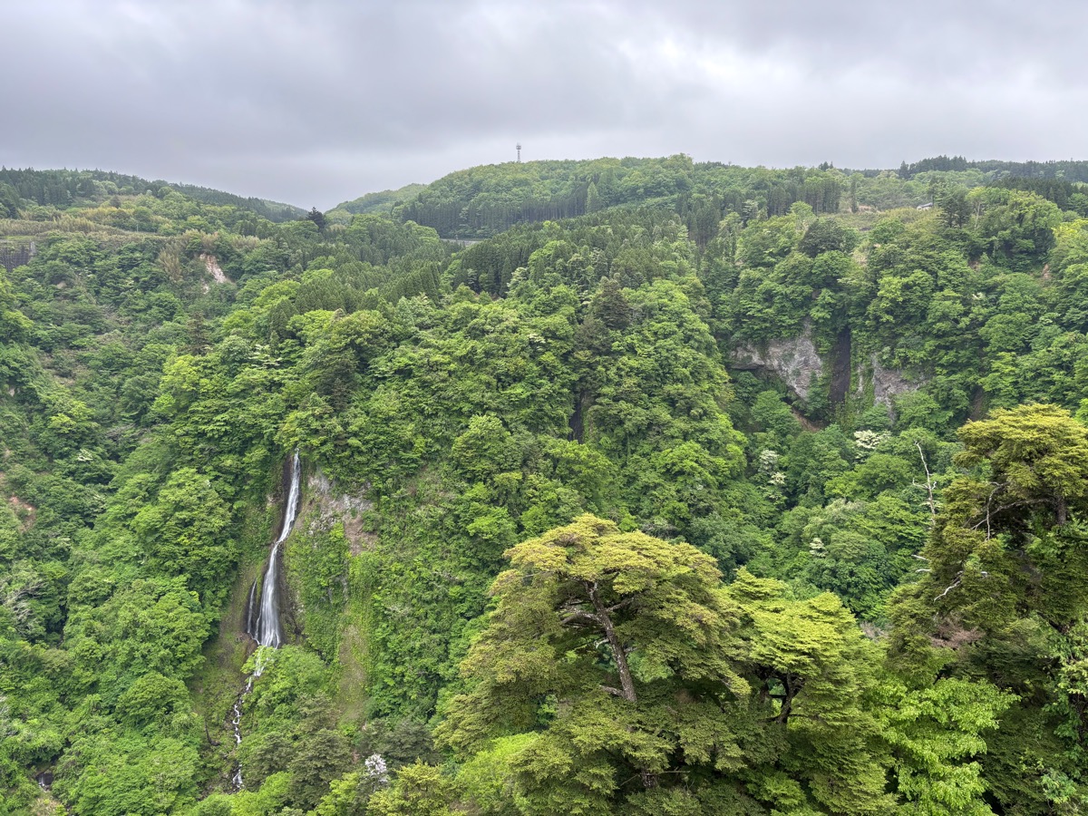 九重“夢”大吊橋（九州）