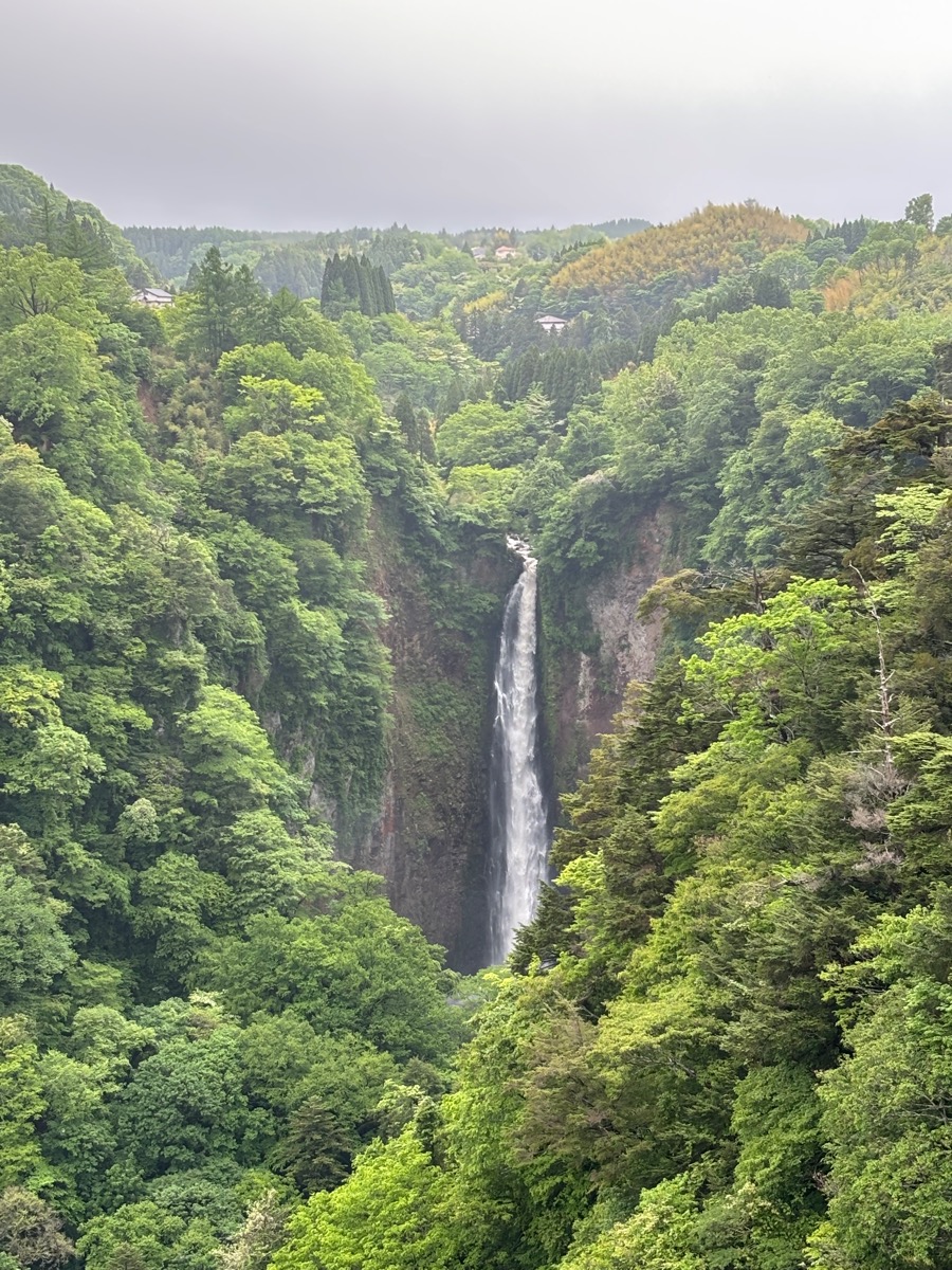 九重“夢”大吊橋（九州）