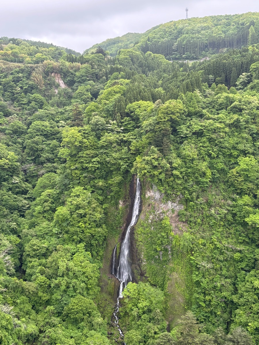 九重“夢”大吊橋（九州）