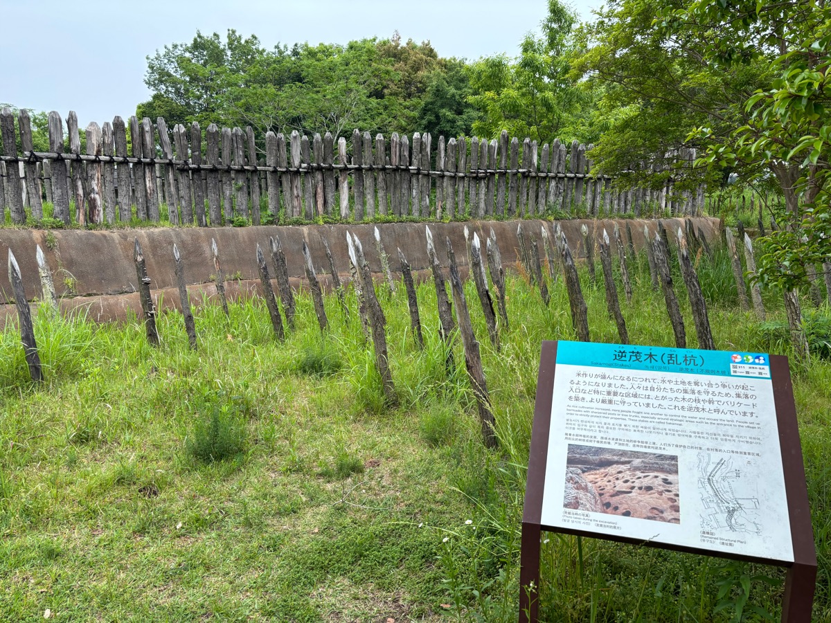 吉野ヶ里歴史公園（九州）