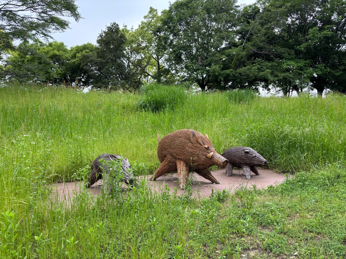 吉野ヶ里歴史公園（九州）