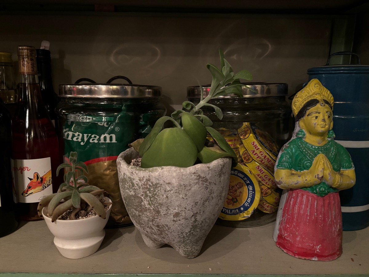 アミカル(久我山)