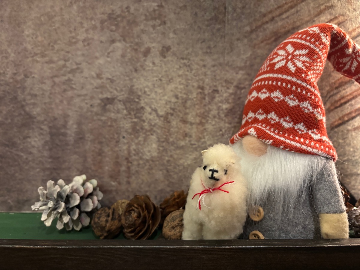 REY peruvian cuisine（武蔵小杉）