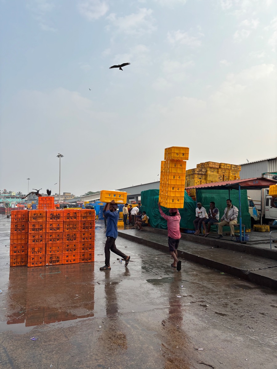 フィッシュマーケット(インド・カルナータカ州ウドゥピ)