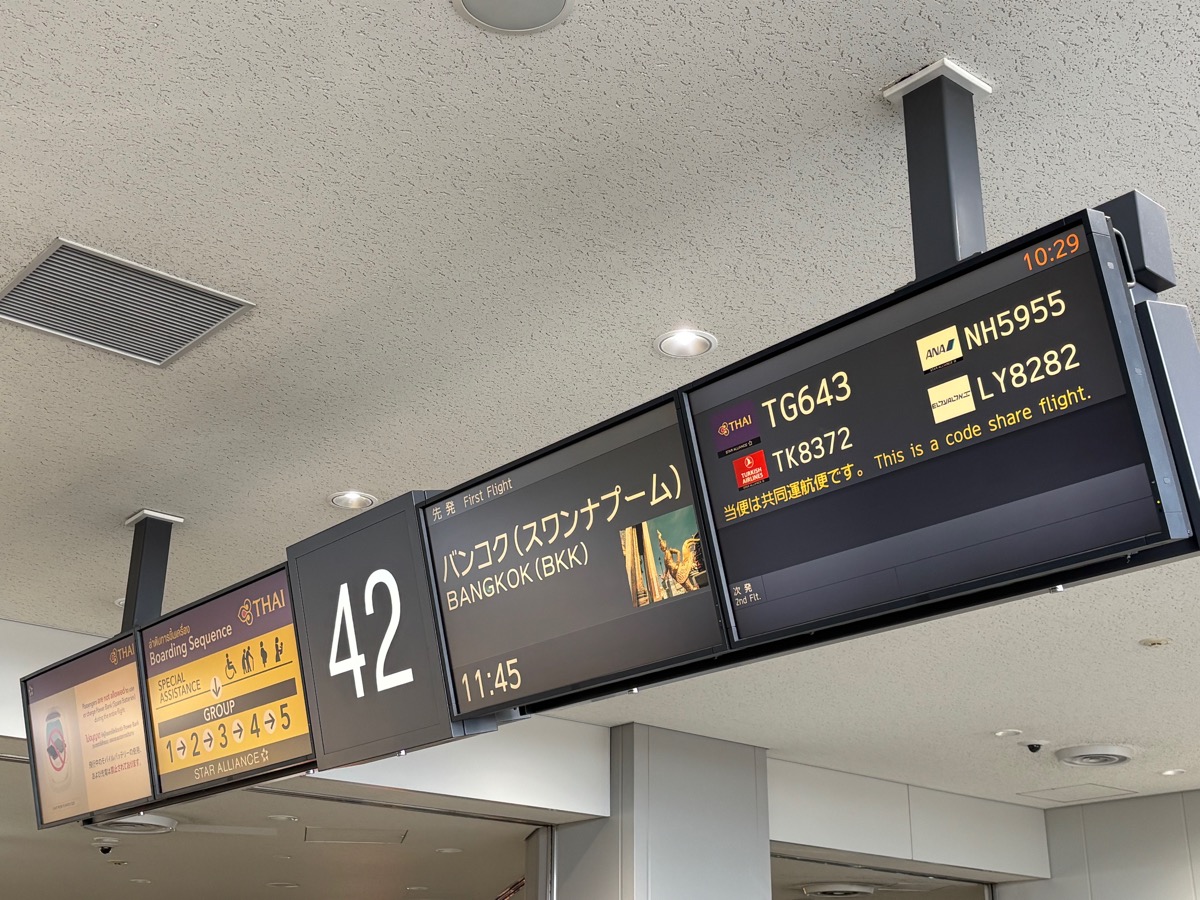 成田〜バンガロール（インド・カルナータカ旅①）