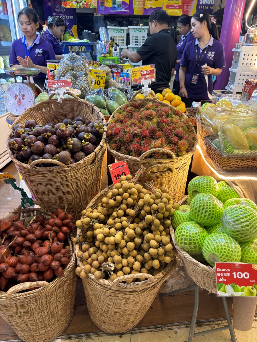 成田〜バンガロール（インド・カルナータカ旅①）