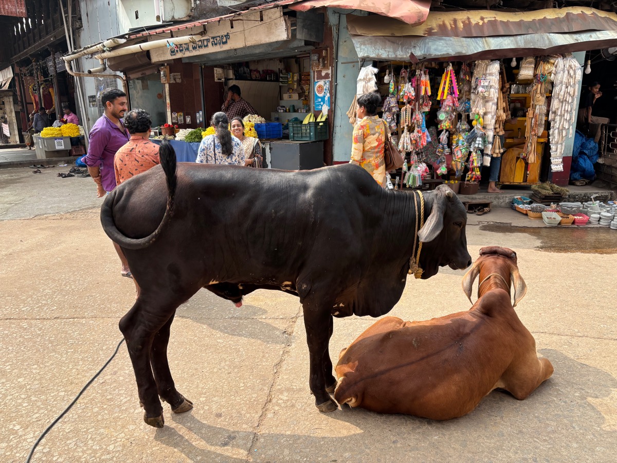 スリ・クリシュナ寺院(インド・カルナータカ州ウドゥピ)