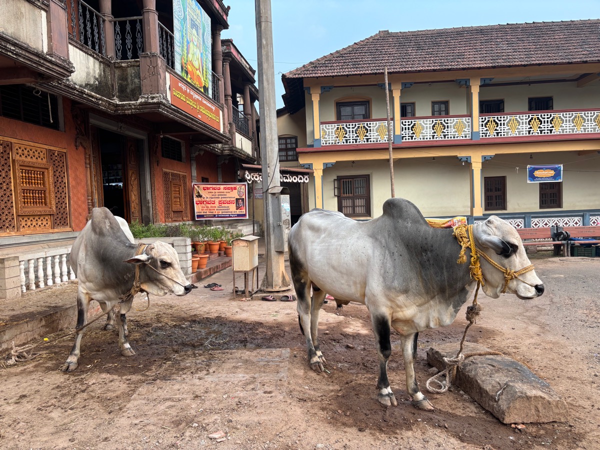 スリ・クリシュナ寺院(インド・カルナータカ州ウドゥピ)