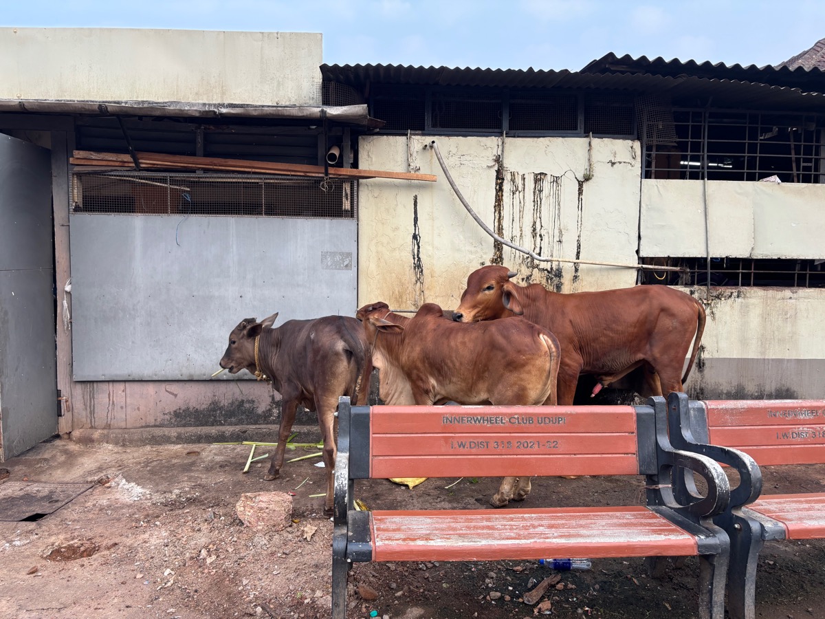 スリ・クリシュナ寺院(インド・カルナータカ州ウドゥピ)