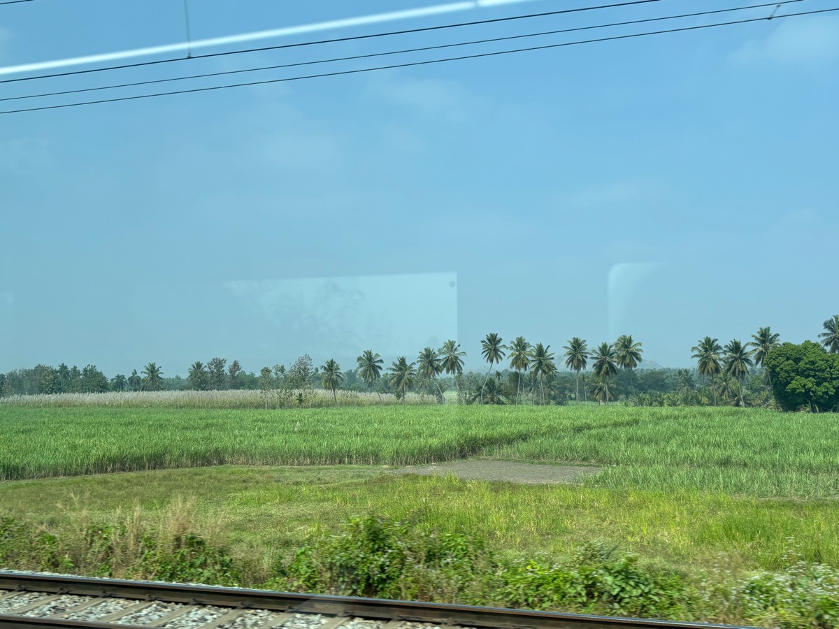 バンガロール〜マイソール(インド・カルナータカ旅②)