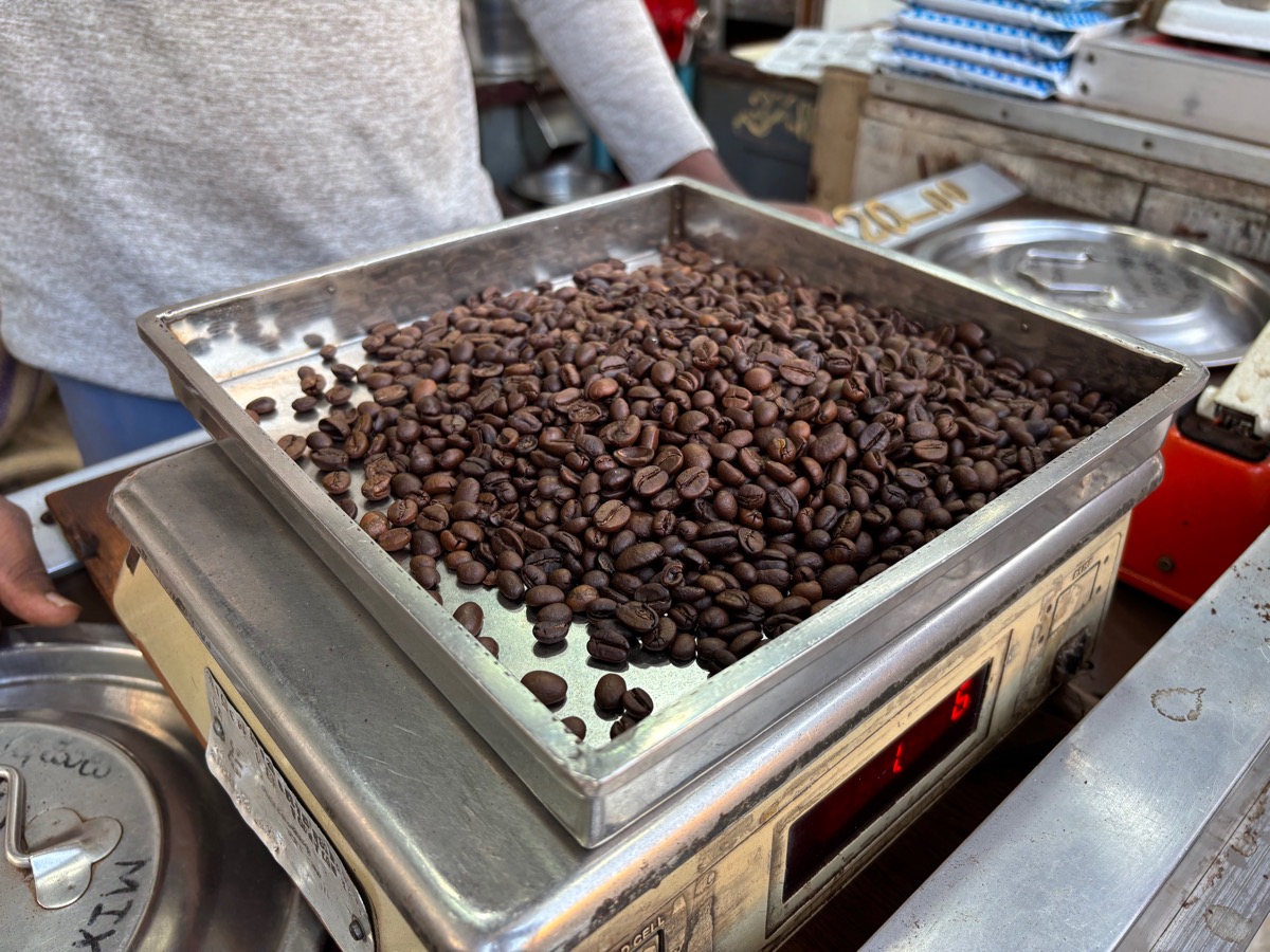 バンガロール〜マイソール(インド・カルナータカ旅②)