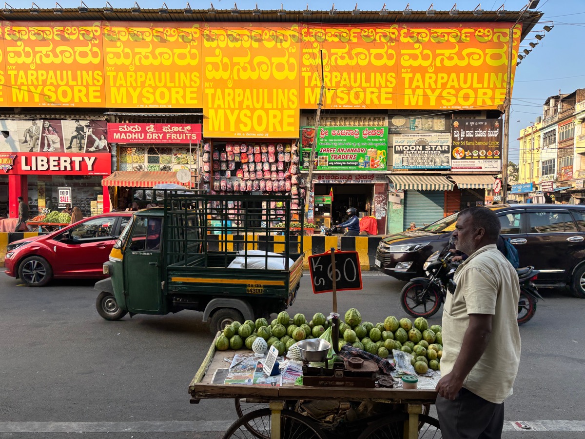 バンガロール〜マイソール(インド・カルナータカ旅②)