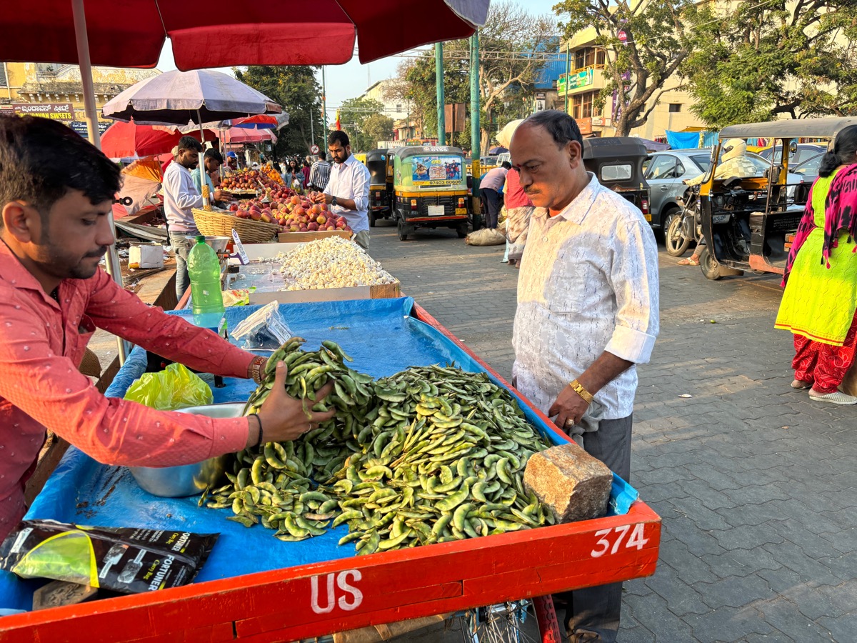 バンガロール〜マイソール(インド・カルナータカ旅②)