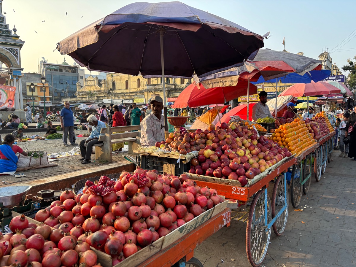 バンガロール〜マイソール(インド・カルナータカ旅②)
