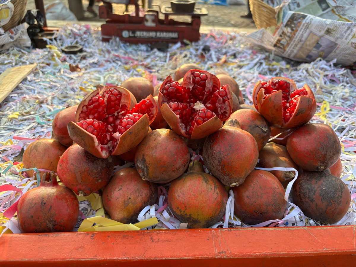 バンガロール〜マイソール(インド・カルナータカ旅②)