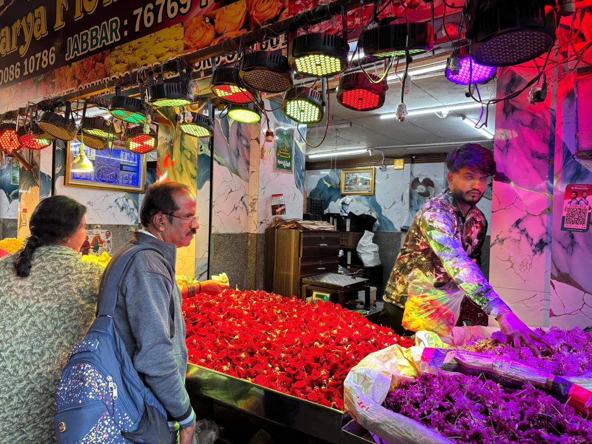 バンガロール〜マイソール(インド・カルナータカ旅②)