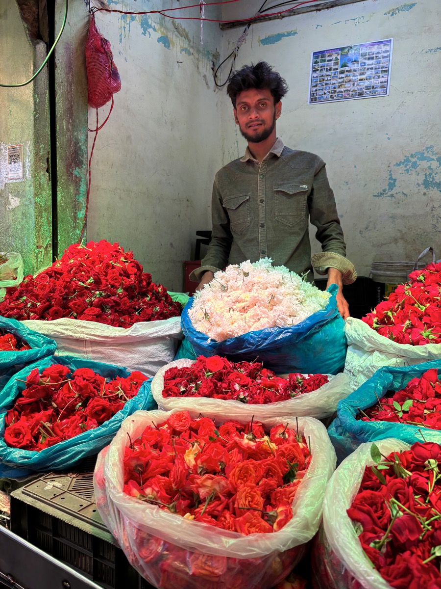 バンガロール〜マイソール(インド・カルナータカ旅②)