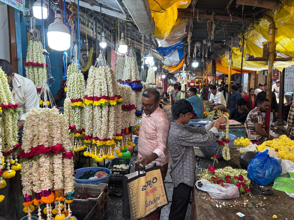 バンガロール〜マイソール(インド・カルナータカ旅②)