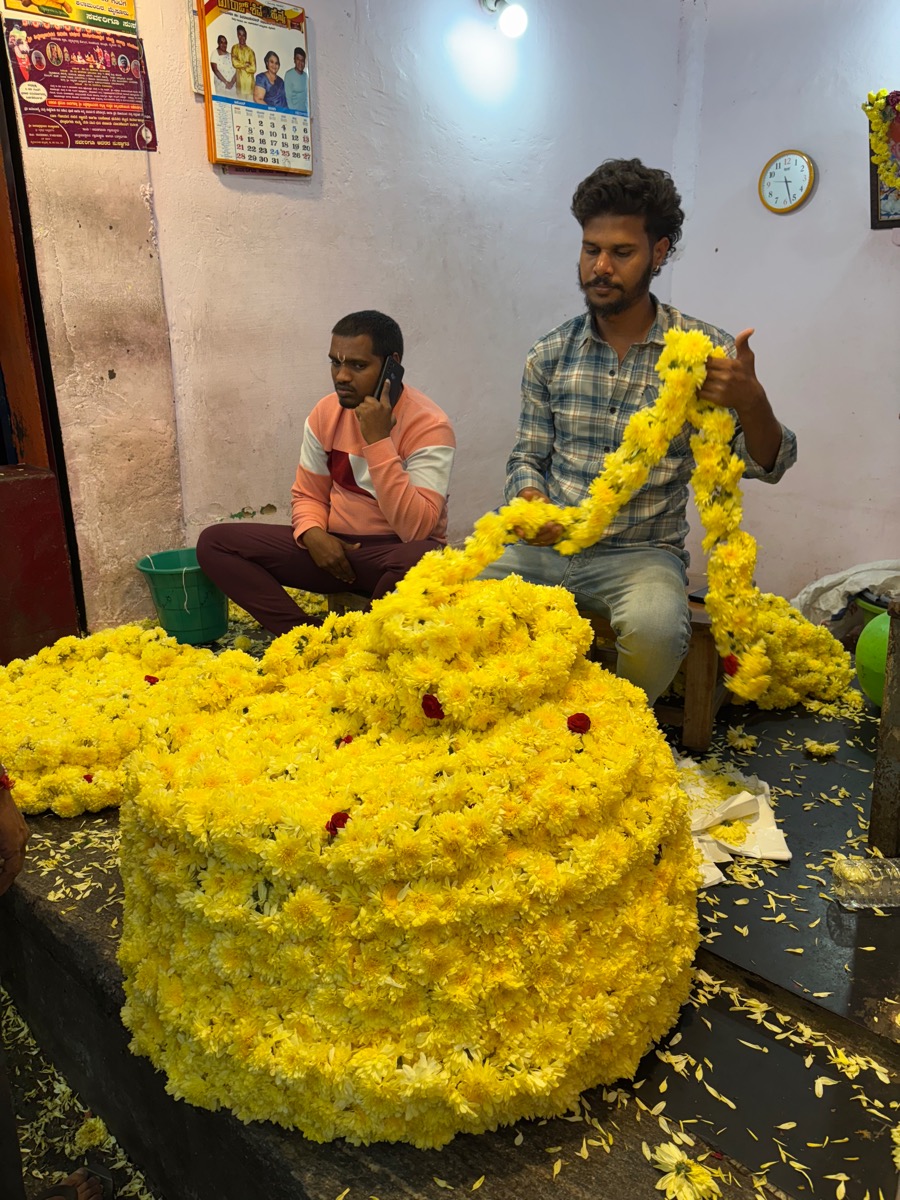 バンガロール〜マイソール(インド・カルナータカ旅②)