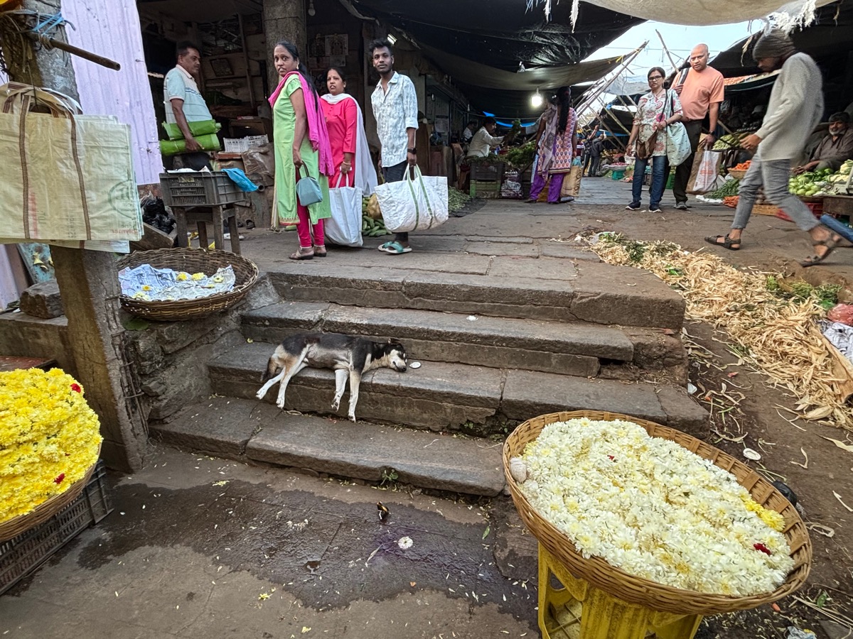 バンガロール〜マイソール(インド・カルナータカ旅②)