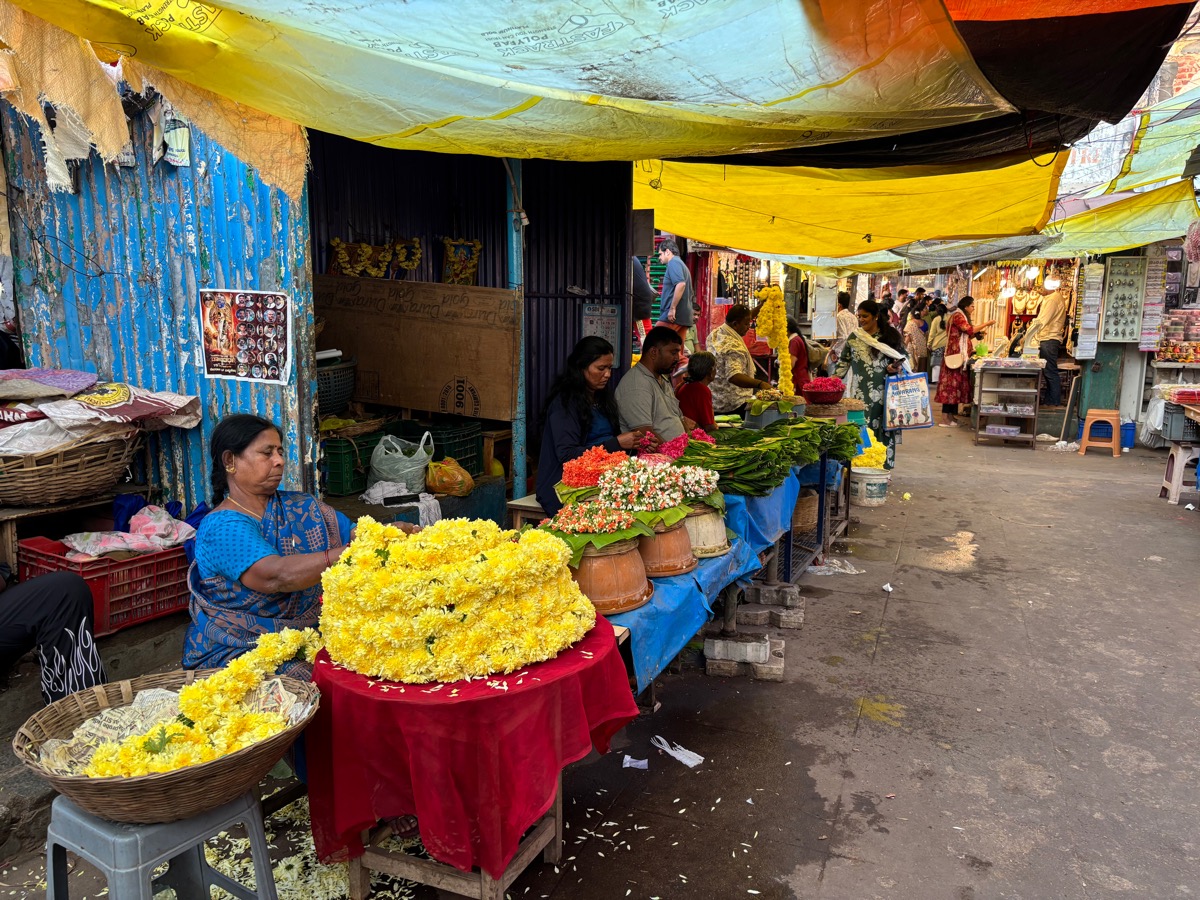 バンガロール〜マイソール(インド・カルナータカ旅②)