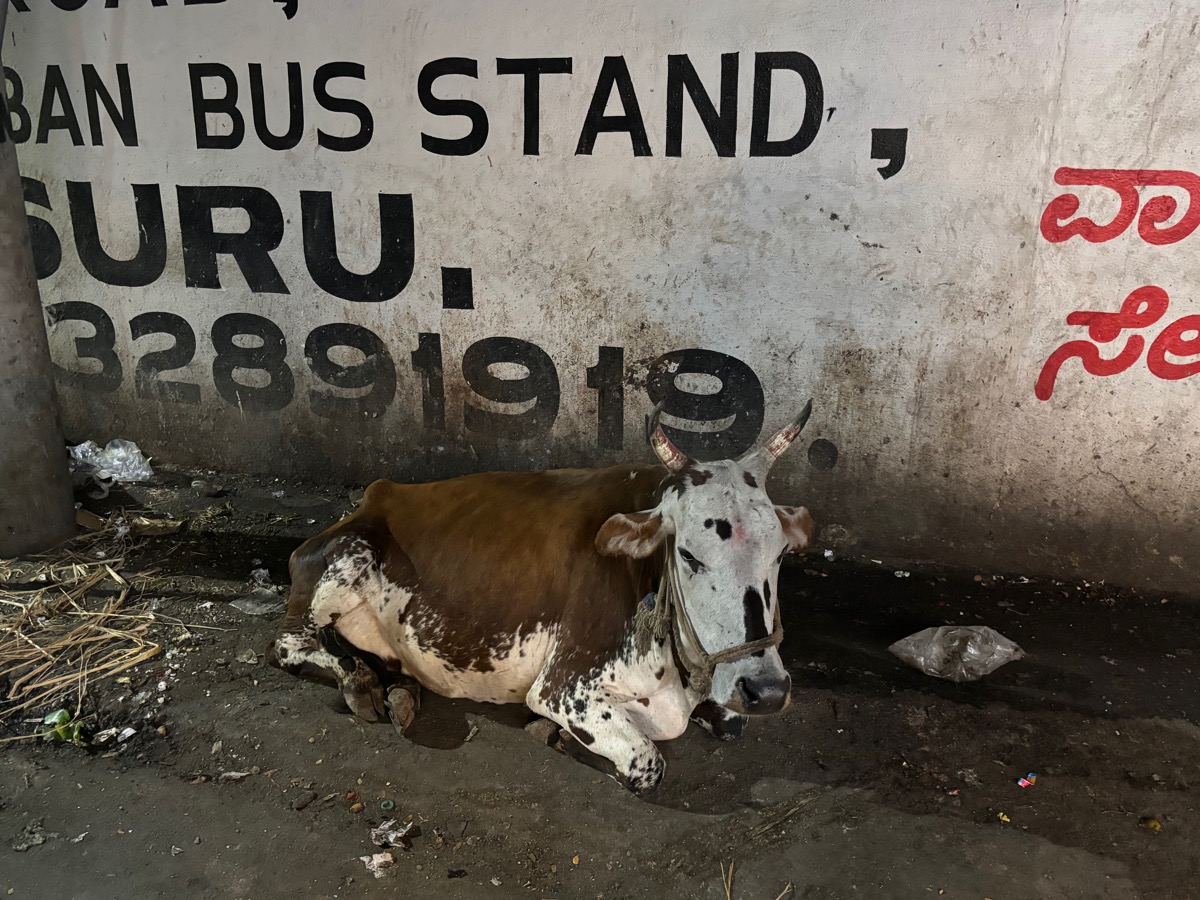 バンガロール〜マイソール(インド・カルナータカ旅②)