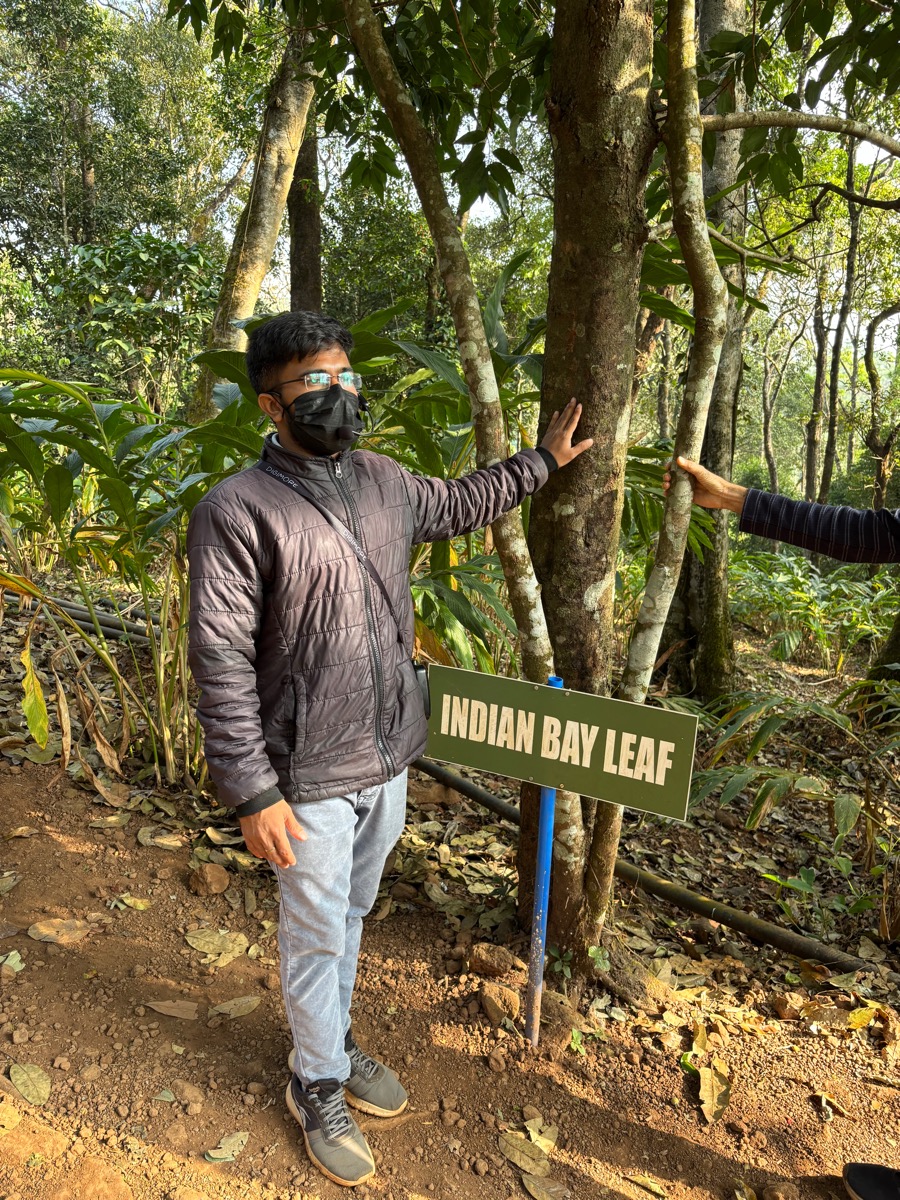 Mercara Gold Estate Coffee Plantation（インド・カルナータカ州マディケリ）