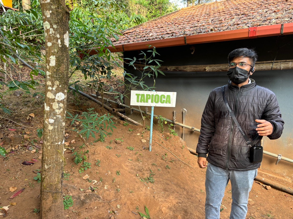 Mercara Gold Estate Coffee Plantation（インド・カルナータカ州マディケリ）