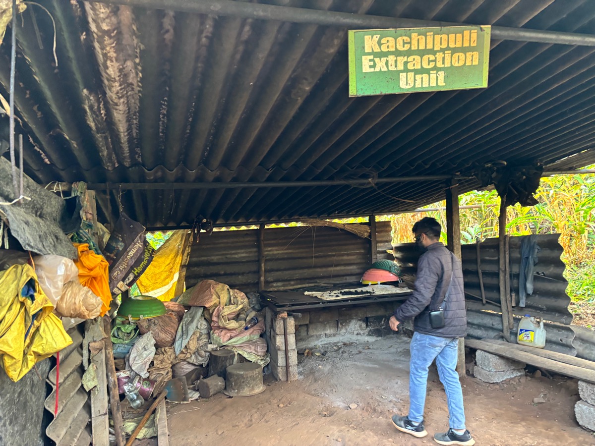 Mercara Gold Estate Coffee Plantation（インド・カルナータカ州マディケリ）