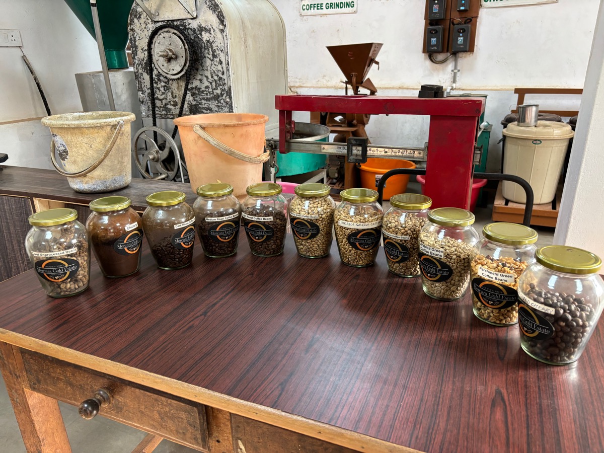 Mercara Gold Estate Coffee Plantation（インド・カルナータカ州マディケリ）