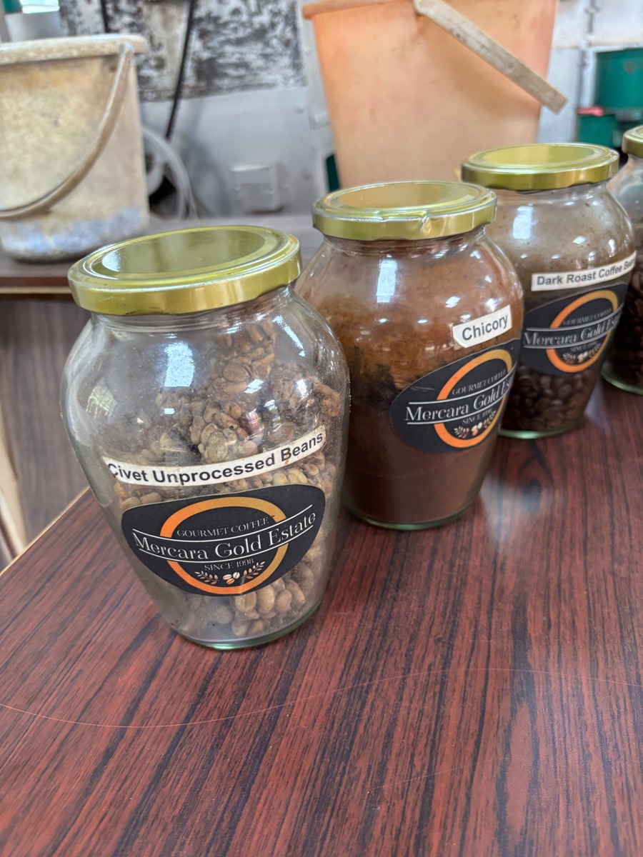 Mercara Gold Estate Coffee Plantation（インド・カルナータカ州マディケリ）