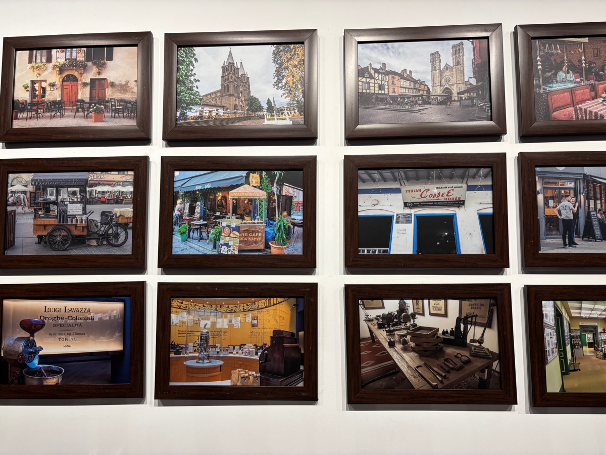 Mercara Gold Estate Coffee Plantation（インド・カルナータカ州マディケリ）