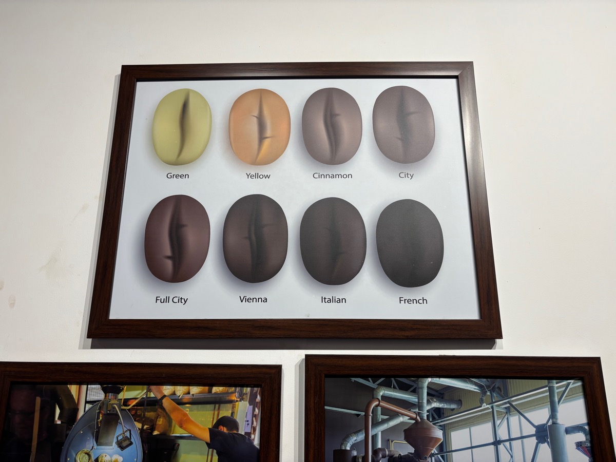 Mercara Gold Estate Coffee Plantation（インド・カルナータカ州マディケリ）