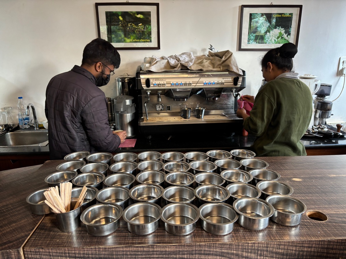 Mercara Gold Estate Coffee Plantation（インド・カルナータカ州マディケリ）