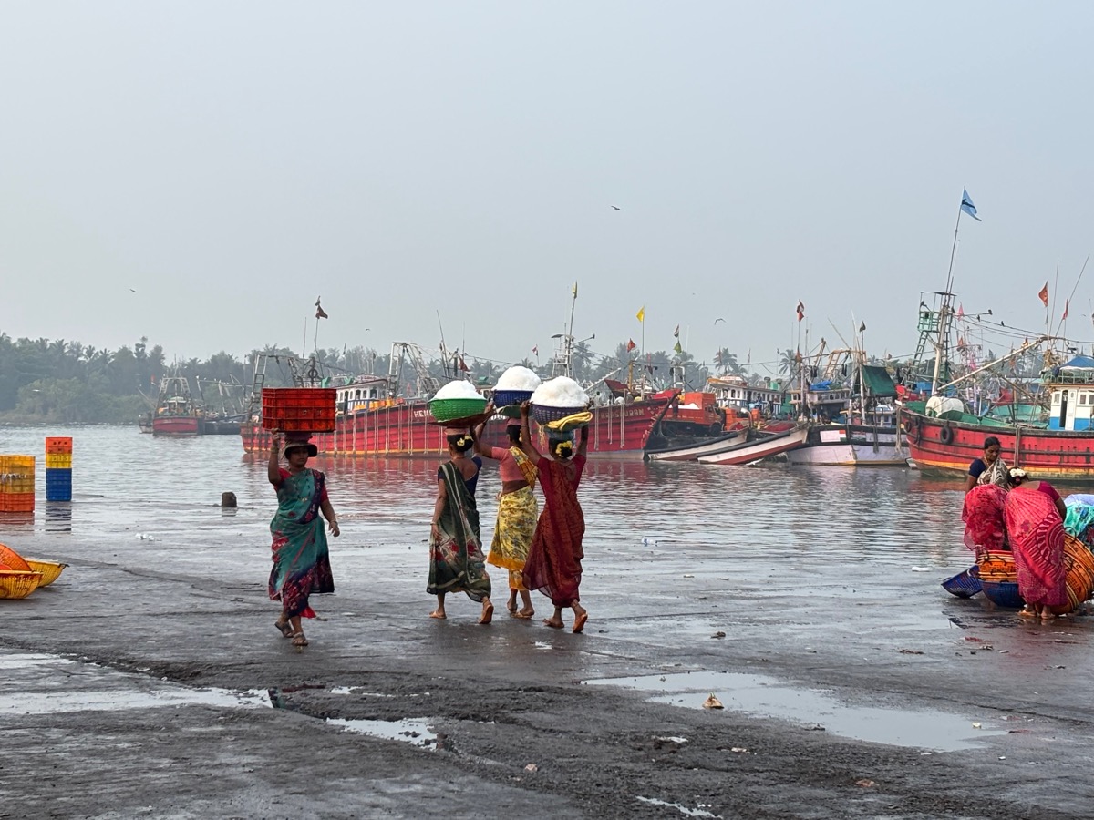フィッシュマーケット（インド・カルナータカ州ウドゥピ）