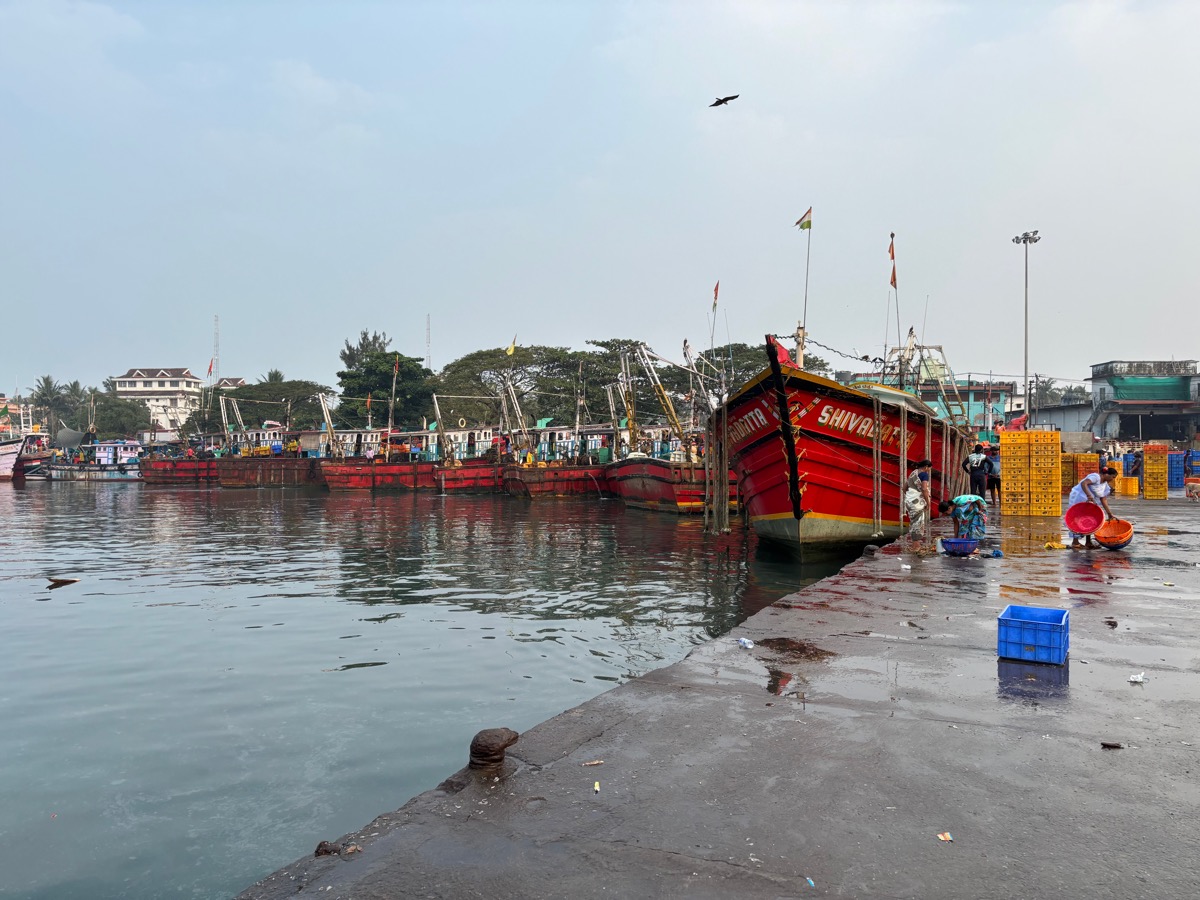 フィッシュマーケット（インド・カルナータカ州ウドゥピ）