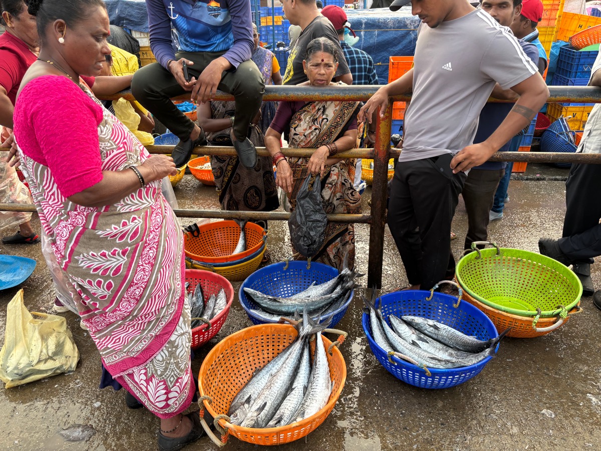 フィッシュマーケット（インド・カルナータカ州ウドゥピ）