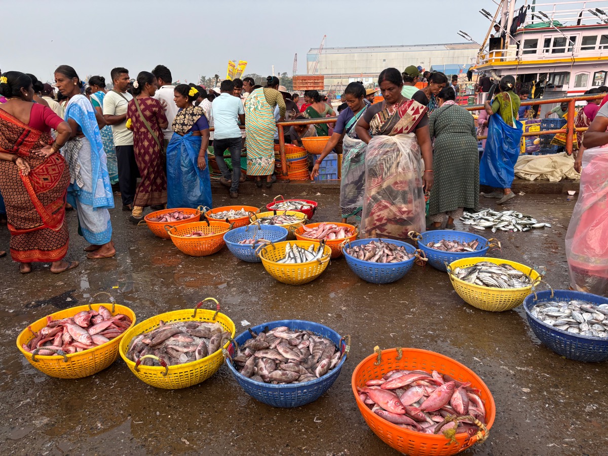 フィッシュマーケット（インド・カルナータカ州ウドゥピ）