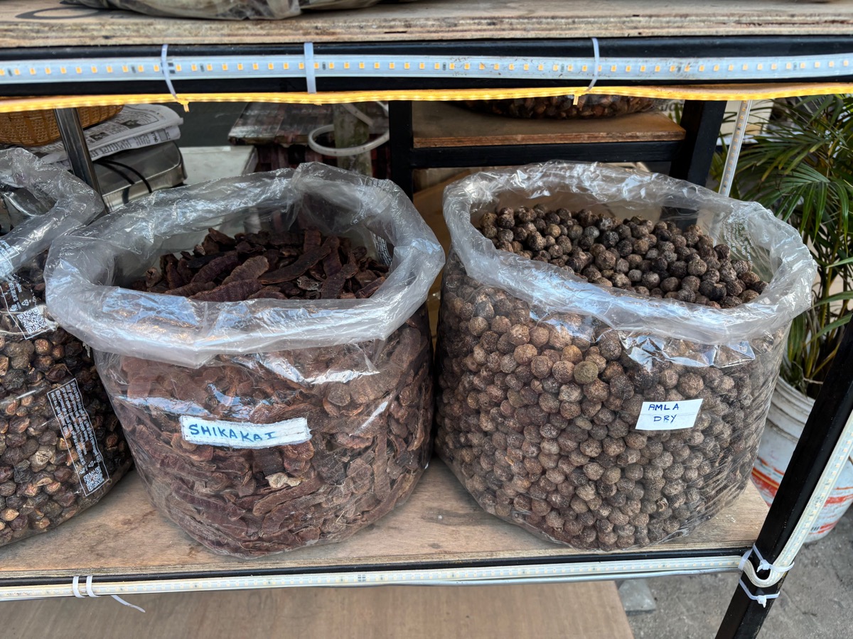 マディケリ（インド・カルナータカ旅④）