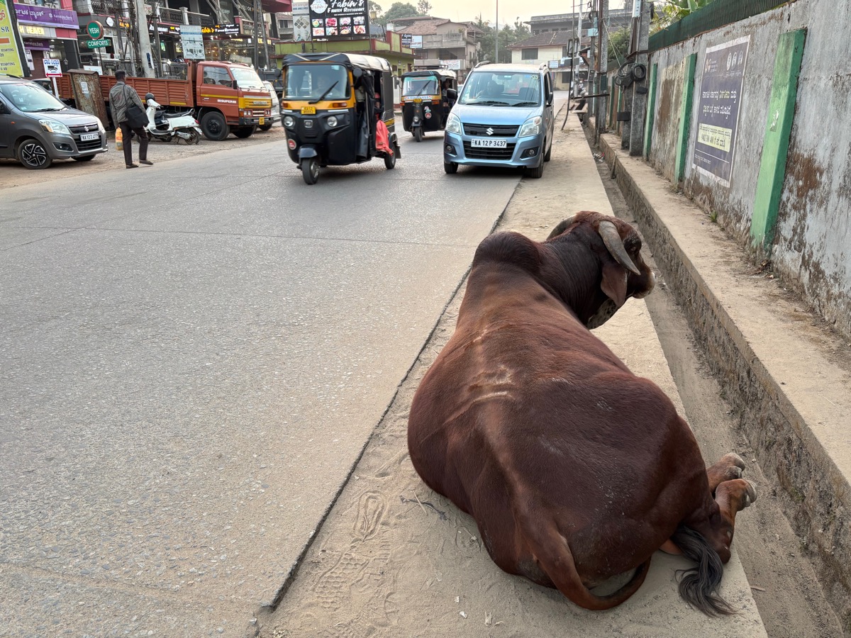 マディケリ（インド・カルナータカ旅④）