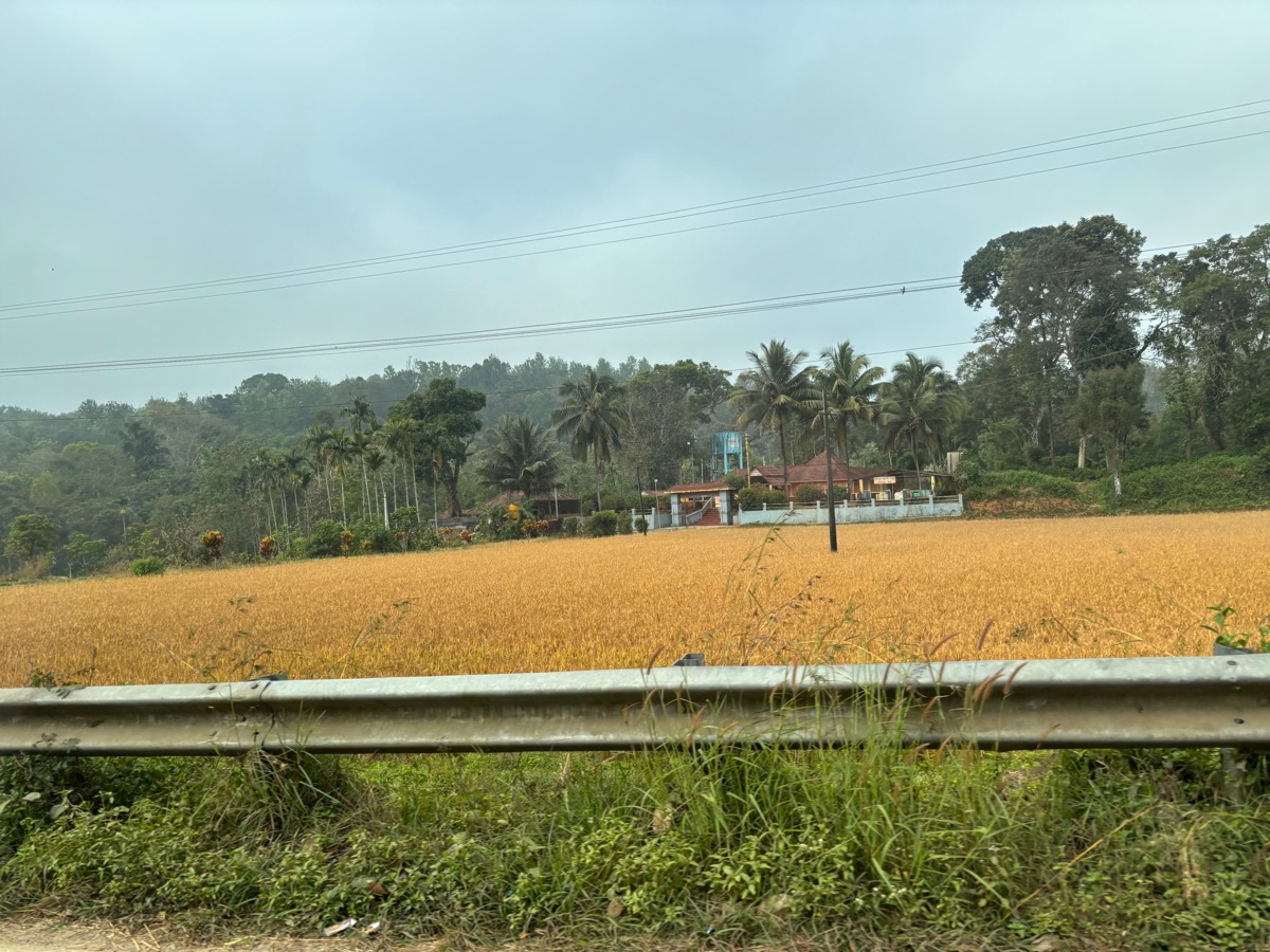 マディケリ（インド・カルナータカ旅④）