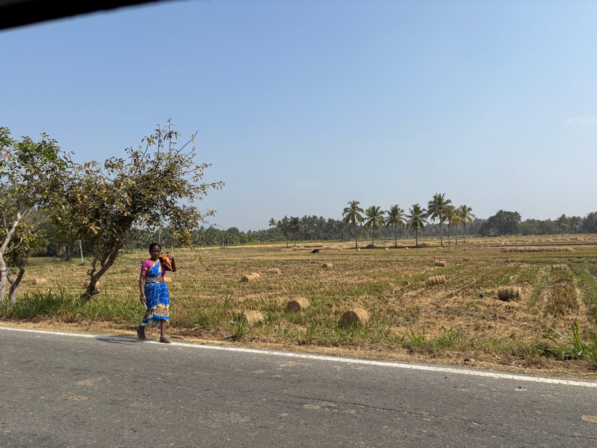 ソムナートプルのケーシャヴァ寺院（インド・カルナータカ州）