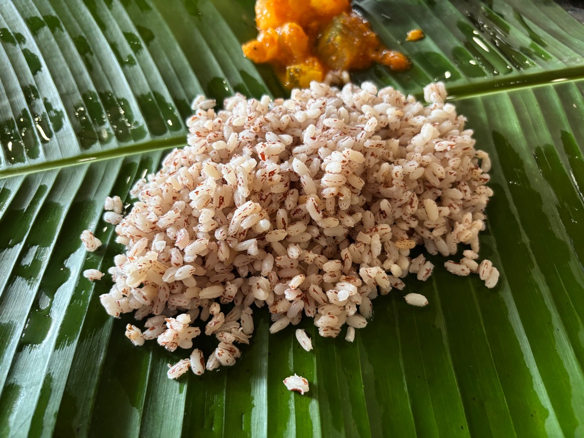 Thimmappa Fish Hotel(インド・カルナータカ州ウドゥピ)