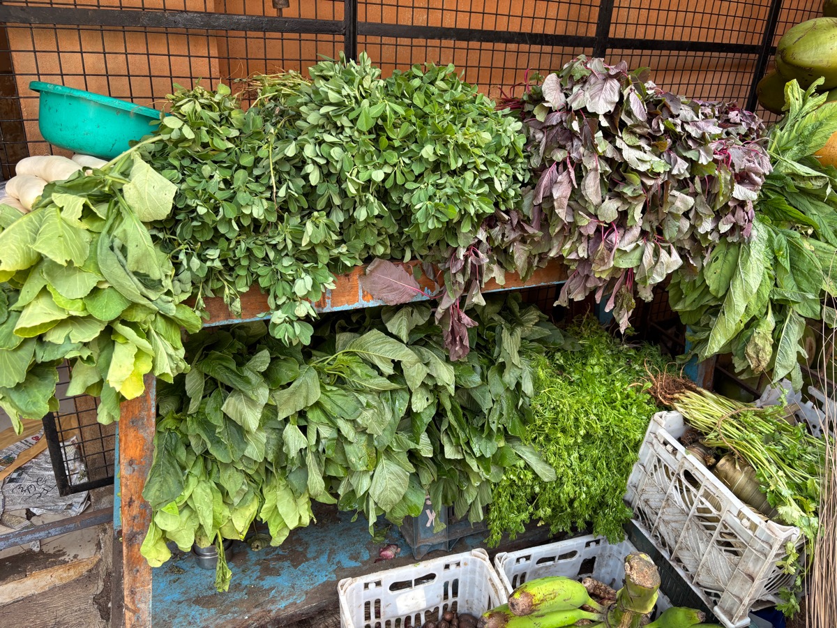 ウドゥピ(インド・カルナータカ旅⑥)