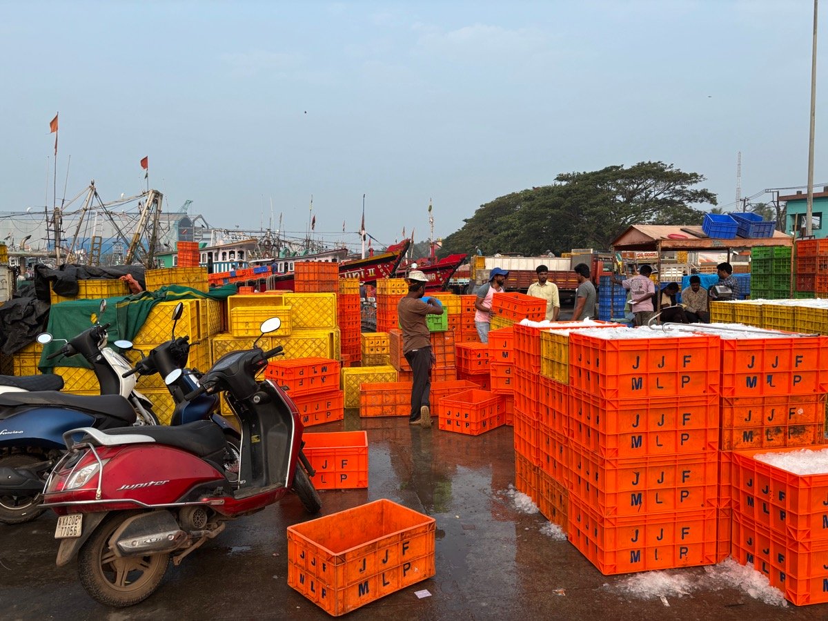 フィッシュマーケット(インド・カルナータカ州ウドゥピ)